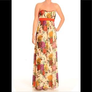 Ted Baker London Floral Bug Dress NWT